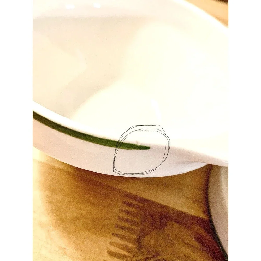 Vintage Lubiana Poland Handled Cream Soup Bowls Kashubian Floral Set Of 4